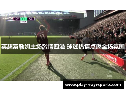 英超富勒姆主场激情四溢 球迷热情点燃全场氛围 英超富勒姆主场激情四溢 球迷热情点燃全场氛围